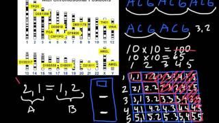 DNA paternity test explained