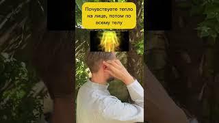 ЗОЖникиУшная магия: исцели свое тело. #упражнения #зарядка #зож #тайчи #здоровье #долголетие