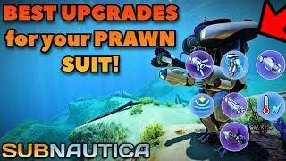 BEST UPGRADES for the Ultimate PRAWN SUIT