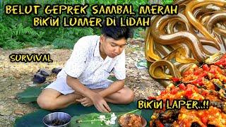 SURVIVAL MENCARI BELUT DI RAWA LANGSUNG OLAH DI TEMPAT..!!