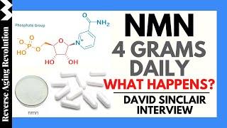 DAVID SINCLAIR  Interview "4 Grams Of NMN Daily, What Happens?"  NMN User's Experience