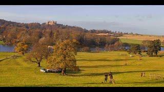 Driven Duck, Partridge & Pheasant Shooting at Belvoir Castle - England