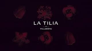 Discover La Tilia at Villanova | Dubai Properties Newest Community