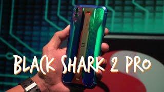 BLACK SHARK 2 PRO - What You Should Know