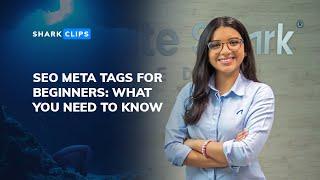 SEO Meta Tags for Beginners: Writing Meta Titles & Meta Descriptions