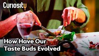 The Evolution of Our Taste Buds | Evolution of Flavor