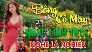 BÔNG CỎ MAY - CÔNG TUẤN BOLERO  LK NHẠC VÀNG XƯA BẤT HỦ TOÀN BÀI HAY  NHẠC LÍNH 1975 TUYỂN CHỌN