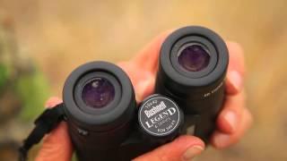 Product Review: Bushnell's Legend Binocular