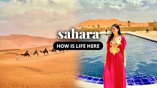 How is Life in the Sahara Desert? | Exploring Camel Culture in Morocco 