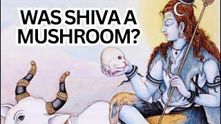 Was Shiva A Mushroom? ‍🟫