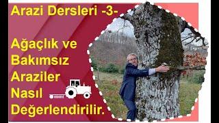 Arazi Dersleri 3 - Ağaçlık ve Bakımsız Araziler Nasıl Değerlendirilir.