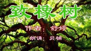 配乐经典朗诵《致橡树》舒婷 贝楠朗诵 (Chinese Poetry)