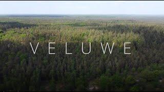 Veluwe | drone | 4k