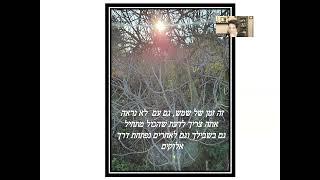 מסרים מארץ כנען, מקרוב ))). צפון השומרון, ישוב חרמש