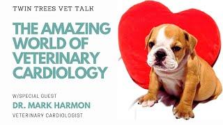 The Amazing World Of Veterinary Cardiology│Twin Trees Vet Talk (FREE VET ADVICE PODCAST)