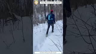 ScienceMan Moment of Zen 0497 #peaceful #winter #nature #trailrunning #forest #trees #asmr