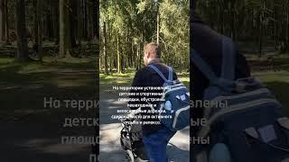Куда поехать с детьми в Подмосковье #shorts #подмосковье