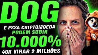 10.000% NESSA CRIPTOMOEDA E EM DOG GO TO THE MOON ? 40 MIL VIRAR 2 MILHÕES DE REAIS AUGUSTO BACKES