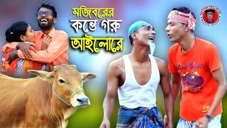 কন্তে গরু আইলোরে | Konte Goru Ailore | New Song 2021 | Mojiborer remake comedy song 2021