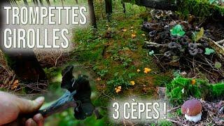 Des trompettes de la mort, des girolles... Et trois fois plus de cèpes que ma dernière cueillette !