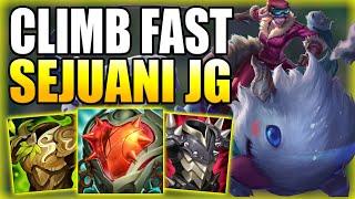 HOW TO CLIMB OUT OF LOW ELO WITH A TANK JUNGLER FT. SEJUANI! - Gameplay Guide League of Legends