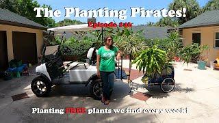 Planting FREE Plants we find Weekly! | The Planting Pirates Episode #46