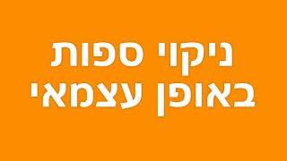 ניקוי ספות באופן עצמאי, סרטון הדגמה!