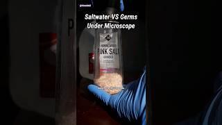 Saltwater VS Germs Under Microscope (Pink Salt)