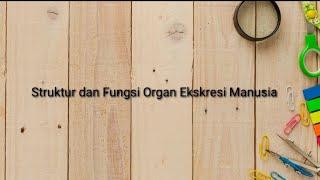 Sistem Ekskresi Pada Manusia I  Struktur dan Fungsi Organ Pada Manusia