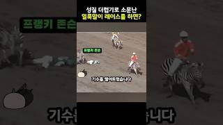 반전의 연속인 얼룩말 레이스 #cute #동물 #유머 #경주 #경마