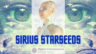 Sirius Energy Alignment - January 2021 - Calm Starseeds - Are You One of Them?