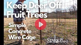 Keep Deer Off Fruit Trees - Fruit Tree Cage