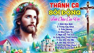 Thánh Ca Sôi Động Tuyển Chọn Hay Nhất Hiện Nay | Tuyển Tập 44 Ca Khúc Đặc Biệt Cảm Mến Ân Tình Chúa