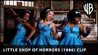 Little Shop of Horrors (1986) Opening Scene | Warner Bros. UK