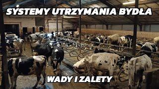 Systemy utrzymania bydła mlecznego