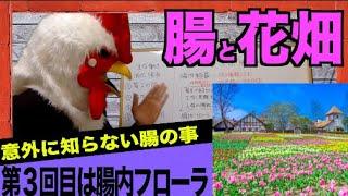 最近話題の腸内フローラ！【健康な体は腸から始まる！第三回】