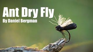 Ant Dry Fly by Daniel Bergman