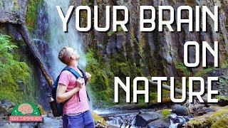 Why nature is good for your mental health