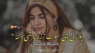 Yaw Zale Che Sok Zrah Ta She Danana  ( Slowed And Reverb ) Pashto New Song - Deedanoona