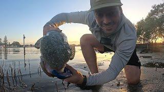 Lure fishing for flathead in Forster Tuncurry