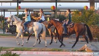 Smoothie, Buster, and Fly - riding in town - Valley View Ranch