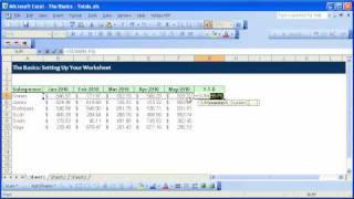 Excel Basics -001- Setting Up Your Worksheet