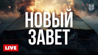  Живое слово Нового Завета | Библия круглосуточно