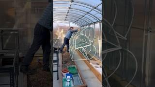 Сделали защиту от птиц, на зиму храним её в теплице #свойдом #грядки