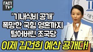 ‘기내식비 공개’ 폭망한 국힘 영혼까지 털어버린 조국당 “이제 김건희 예산 공개다!”