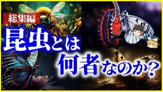 【ゆっくり解説】【総集編】地球史上最も特異な存在…「昆虫」とは何者なのか？を解説【作業用】【睡眠用】