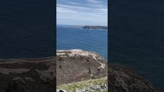 Signal Hill St. Johns NL