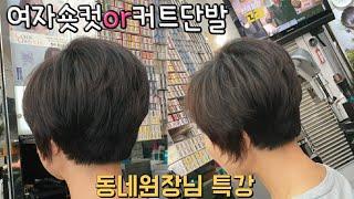 ‍️[동네원장님 1시간 특강]  여자숏컷 or 여자 커트단발 끝장강의    #커트단발 #여자숏커트