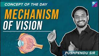NEET 2023 - Mechanism of Vision Concept Explained | NEET Biology Preparation
