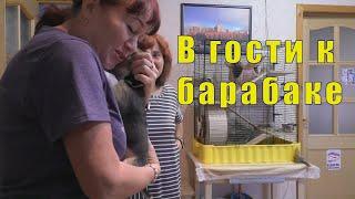 В ГОСТИ К БАРАБАКЕ /КАК НЕ ЗАБОЛЕТЬ ? 25 сентября 2024